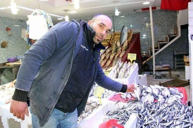 Kar Yağdı, Balık Azaldı 2