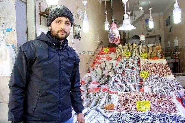 Kar Yağdı, Balık Azaldı 3