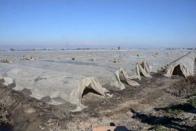 Bayraktar: Afetlerin Mersinli Çiftçiye Faturası 175 Milyon Lira 2