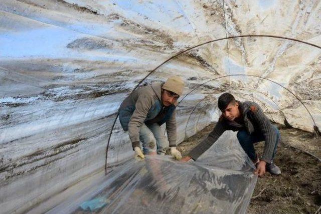 Bayraktar: Afetlerin Mersinli Çiftçiye Faturası 175 Milyon Lira 3