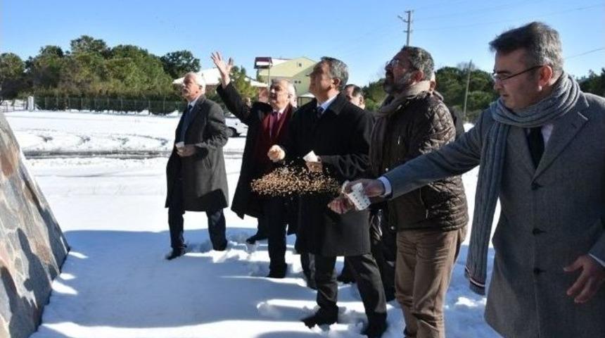 Omü Yönetimi Kuşlara Yem Bıraktı