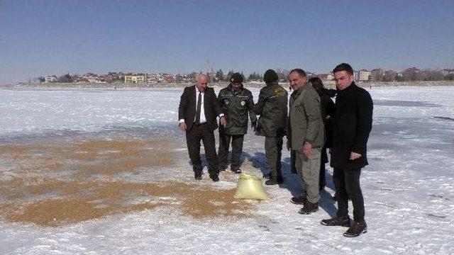 ’dünya Sulak Alanlar Günü’ Buz Tutan Beyşehir Gölü’nde Kutlandı