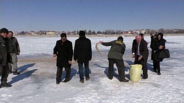 ’dünya Sulak Alanlar Günü’ Buz Tutan Beyşehir Gölü’nde Kutlandı