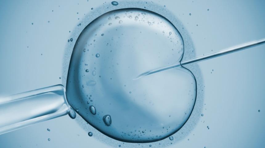 T&uuml;p Bebek Profesyonel Bir Yarıştır