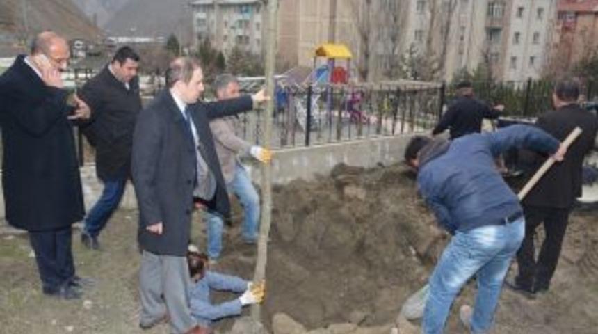 Hakkari&rsquo;de Ağa&ccedil;landırma &Ccedil;alışmaları