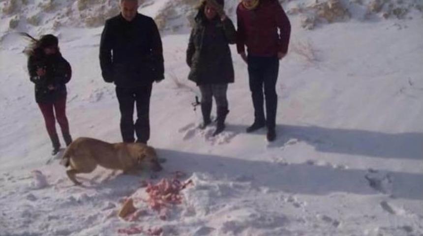 G&uuml;r&uuml;n&rsquo;de Yaban Hayvanları İ&ccedil;in Doğaya Yiyecek Bırakıldı