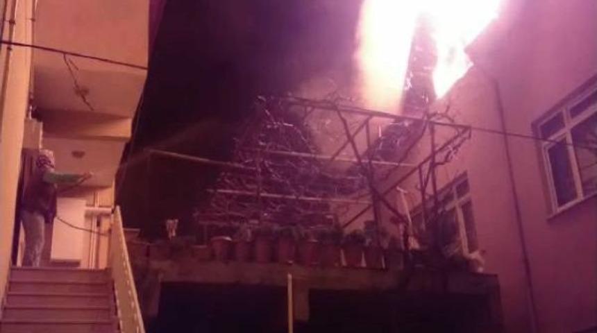 İznik'te Korkutan Yangın