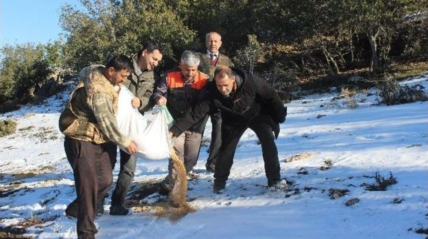 Yaban Hayvanları İ&ccedil;in Doğaya Yem Bıraktılar