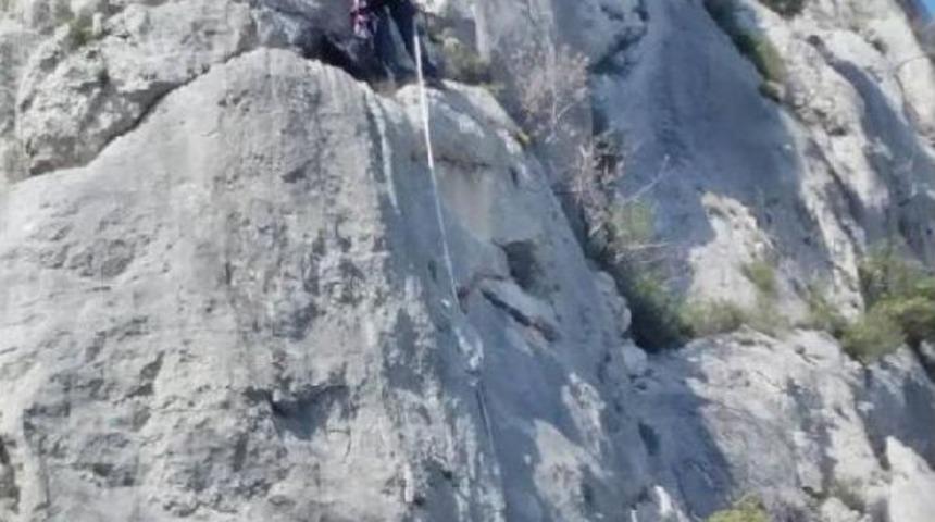 Kayalıkta Mahsur Kalan Ke&ccedil;iyi Afad Kurtardı