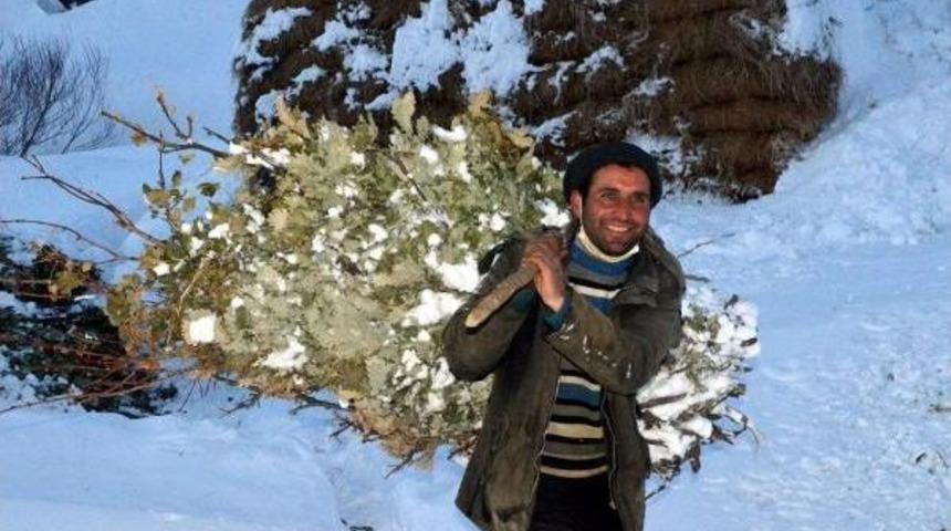 Bitlis'te K&ouml;yl&uuml;lerin Zorlu Hayvan Bakımı