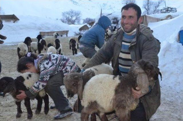 Bitlis'te Köylülerin Zorlu Hayvan Bakımı