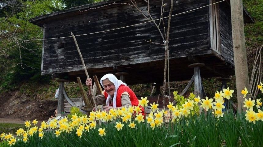90&rsquo;lık Nine &Ccedil;i&ccedil;eklerine G&ouml;z&uuml; Gibi Bakıyor