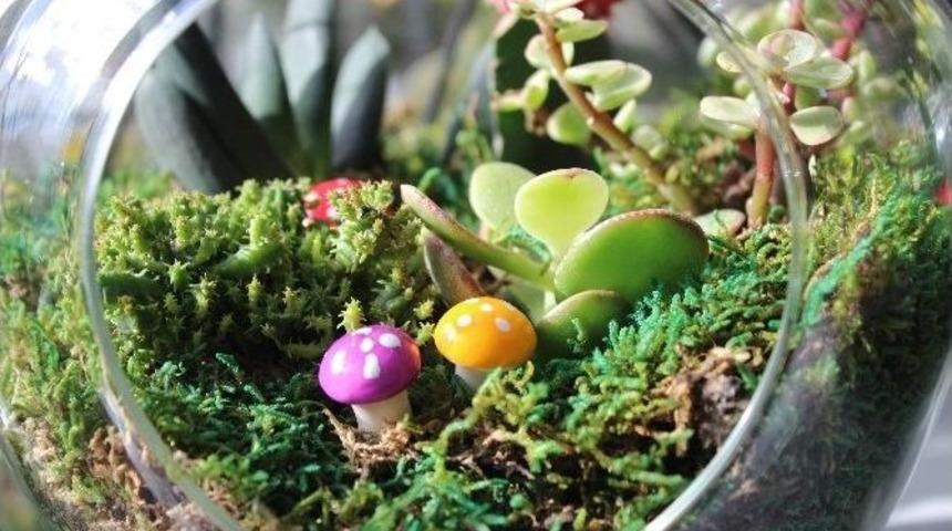 (&ouml;zel Haber) Bu Yıl Sevgililer G&uuml;n&uuml; Cep Yakacak