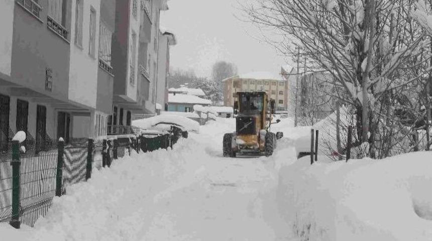 Varto&rsquo;da Kar Temizleme &Ccedil;alışması
