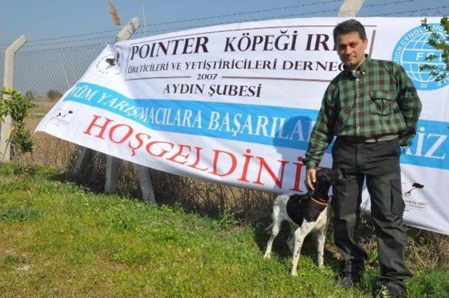 Aydın'da 'köpek Güzellik Yarışması'