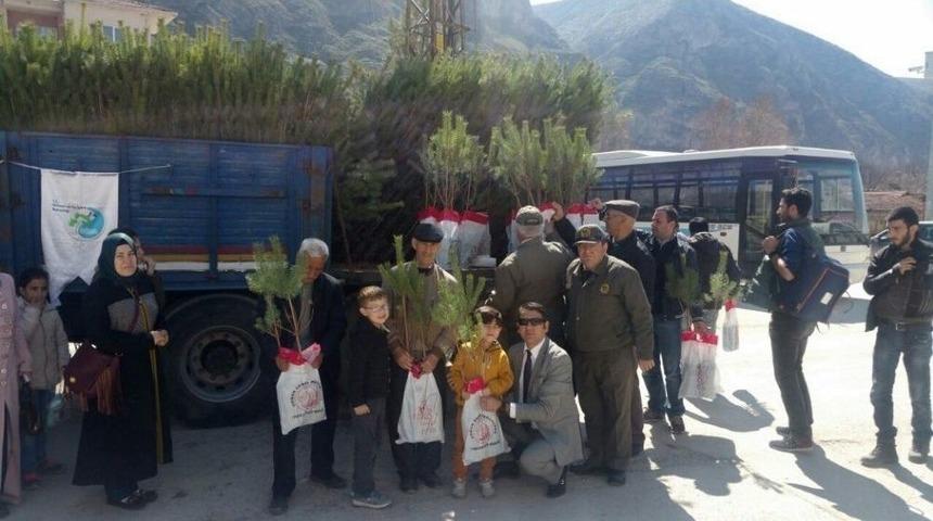 İn&ouml;n&uuml;&rsquo;de Fidan Dağıtıldı