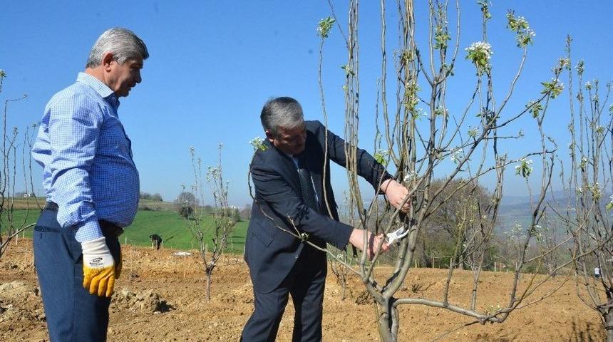 İzmit Belediyesinden Uygulama Merkezi