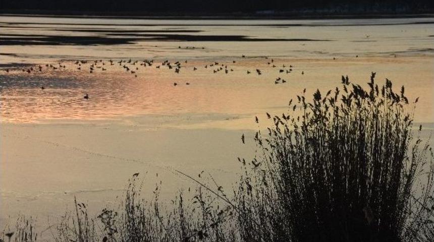 Sinop&rsquo;ta Sarıkum G&ouml;l&uuml; Buz Tuttu