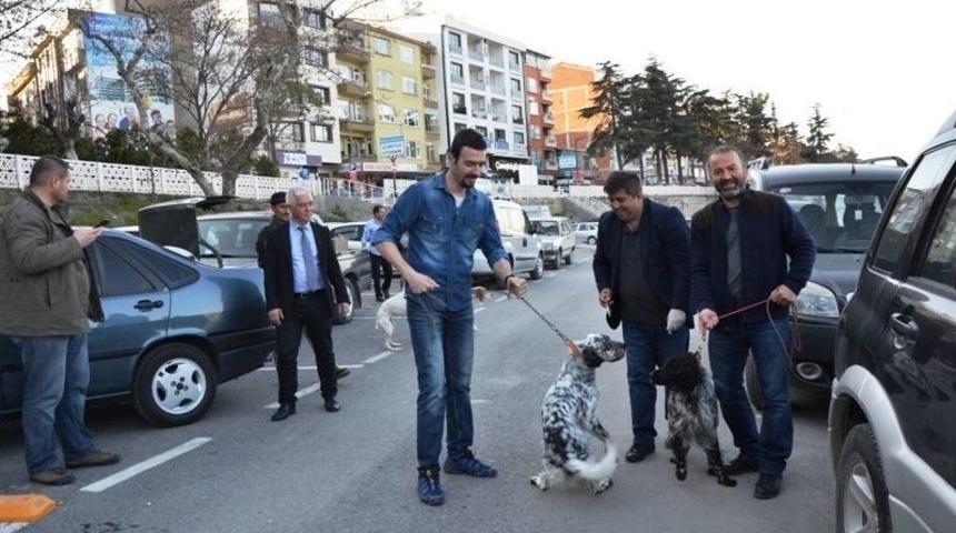 Biga&rsquo;da Av K&ouml;pekleri Aşılandı