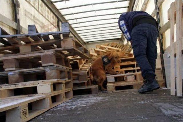 Tır da Ahşap Paletler Arasındaki 99 Kilo Eroini  ma&ccedil;o  Buldu 2