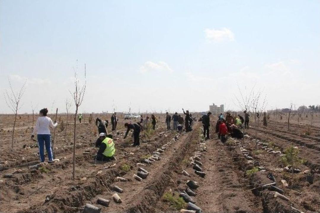 Yılın &rsquo;sivil Toplum Farkındalık &Ouml;d&uuml;lleri&rsquo; Sahiplerini Buldu