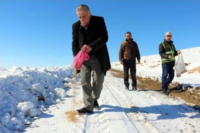 Batmanlı Avcılar, Yaban Hayvanları Için Doğaya Yem Bıraktı