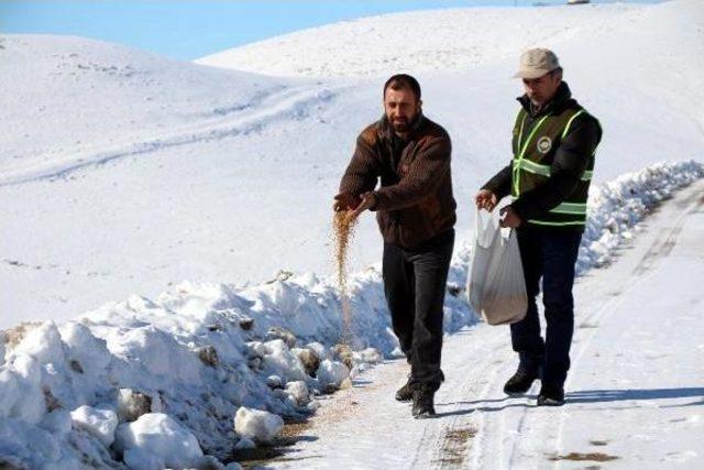 Batmanlı Avcılar, Yaban Hayvanları Için Doğaya Yem Bıraktı