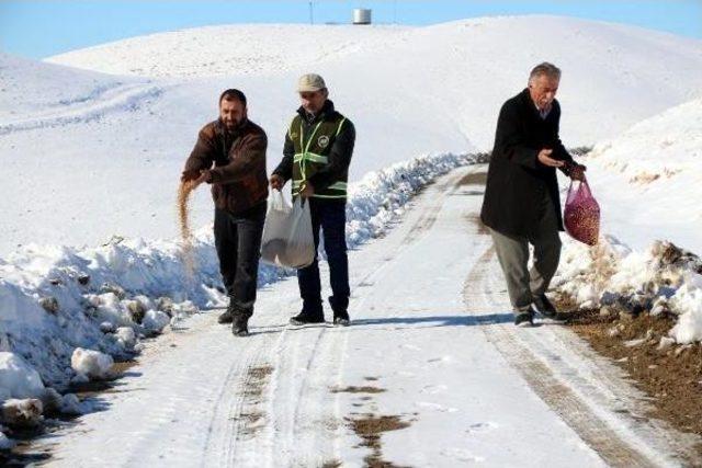 Batmanlı Avcılar, Yaban Hayvanları Için Doğaya Yem Bıraktı