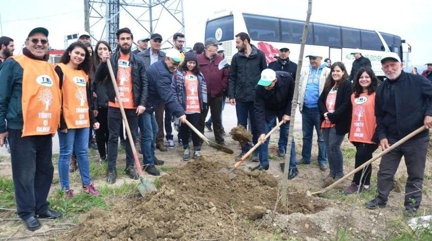 3 Bin Fidan Toprakla Buluştu