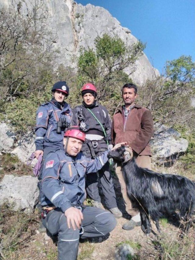 Kayalıklarda Mahsur Kalan Ke&ccedil;i Kurtarıldı 1