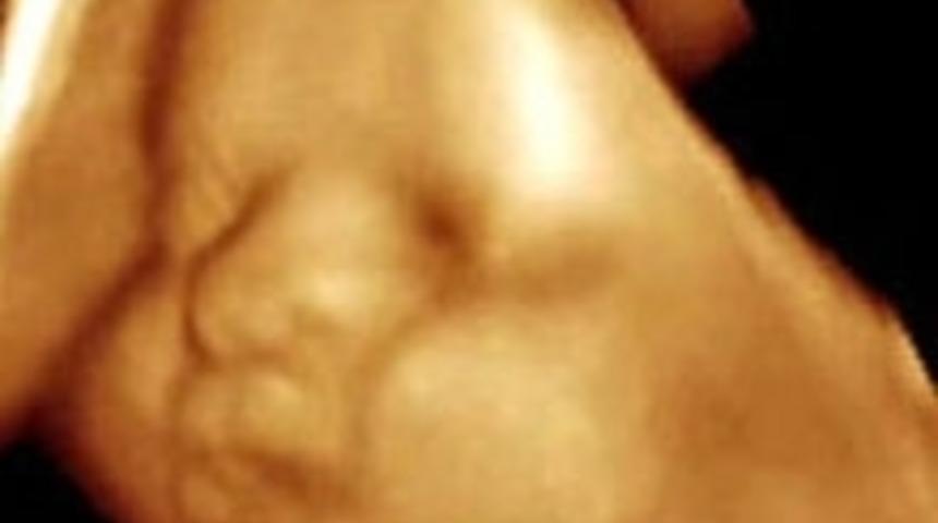 Hafta Hafta Gebelik Rehberi