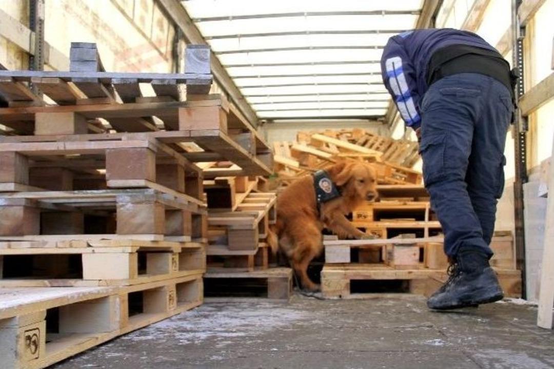Narkotik Dedekt&ouml;r K&ouml;peği 99 Kilo Eroin Buldu