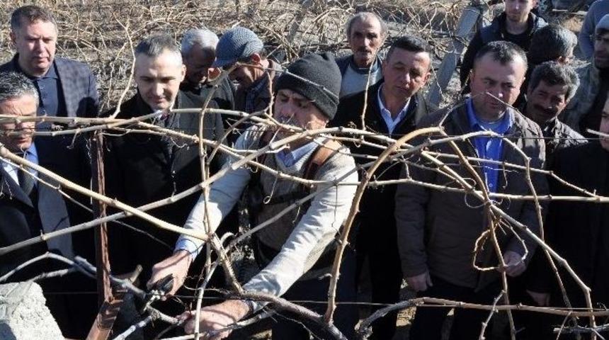 Manisa&rsquo;da Sertifikalı &Ccedil;ift&ccedil;i Sayısı Artıyor