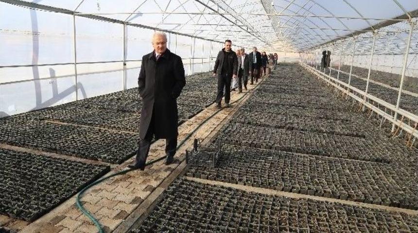 Başkan Başsoy&rsquo;dan Park Ve Bah&ccedil;eler M&uuml;d&uuml;rl&uuml;ğ&uuml;ne Ziyaret