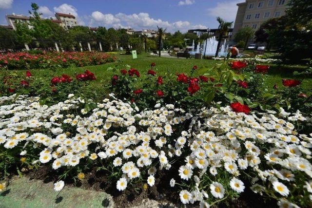 Bursa’da Bahar Uludağ’da 80 Santim Kar 2