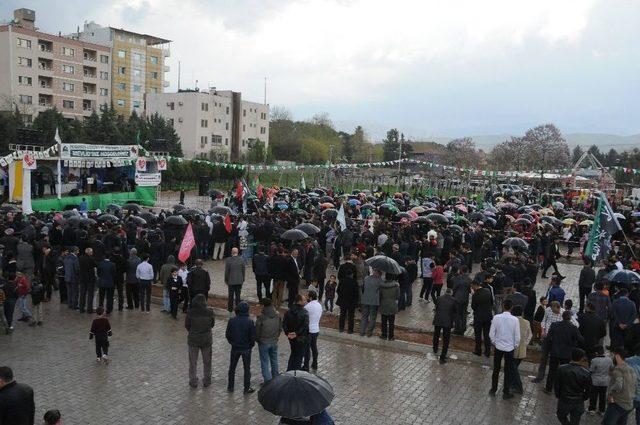 Kutlu Doğum Etkinliği Cizre’de Coşkuyla Kutlandı