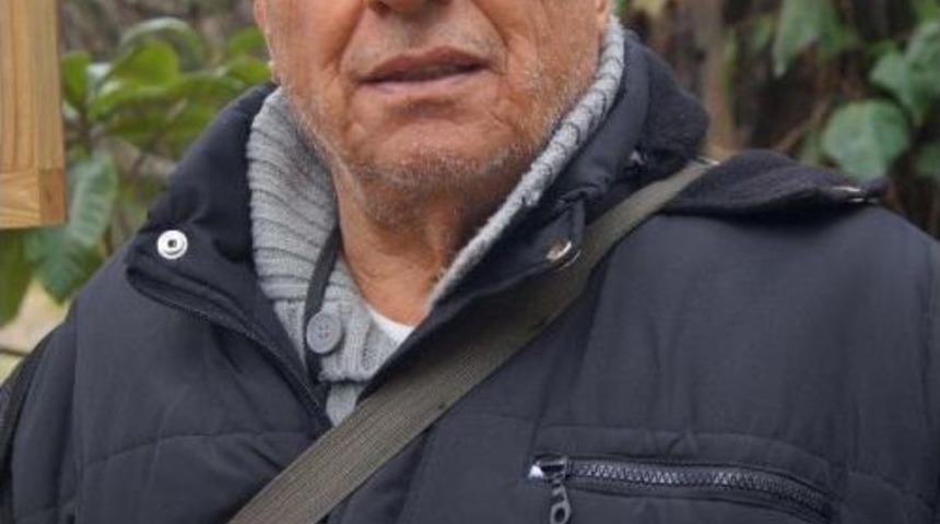 Okluk Koyu'ndaki Şantiye &Ccedil;evrecileri Tedirgin Etti