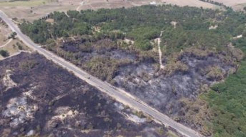 Uzunk&ouml;pr&uuml;&rsquo;de &Ccedil;amlık Ormanı Yenileniyor