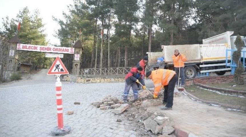 Park Ve Bah&ccedil;eler M&uuml;d&uuml;rl&uuml;ğ&uuml; Ekiplerinin &Ccedil;alışmaları