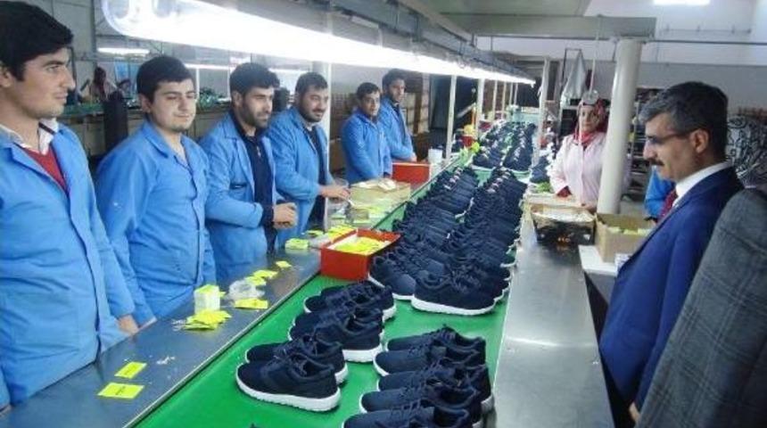 Sgk Başkanı Bağlı: Kral Falan Değiliz (2)