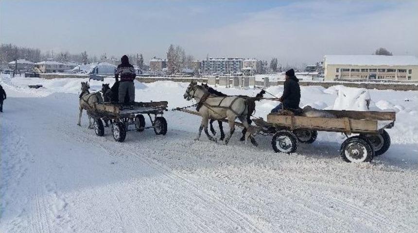 15 Yıldır At Arabası S&uuml;rerek Ekmeğini Kazanıyor