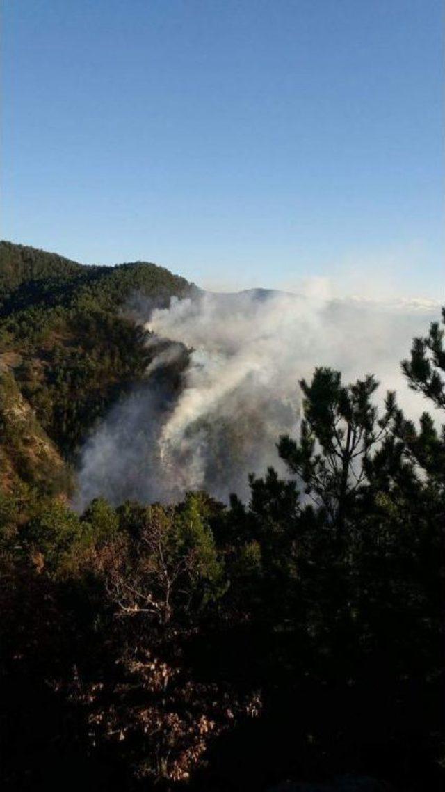 Kastamonu'daki Orman Yangını Söndürülmeye Çalışılıyor