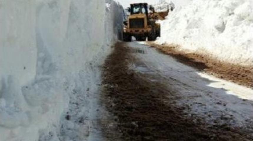 Başkale&rsquo;De Karla M&uuml;cadele Bug&uuml;n De S&uuml;rd&uuml;