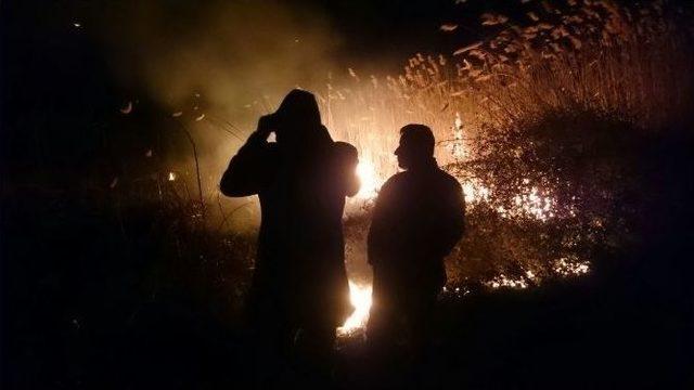 İznik&rsquo;te Sazlık Yangını 1