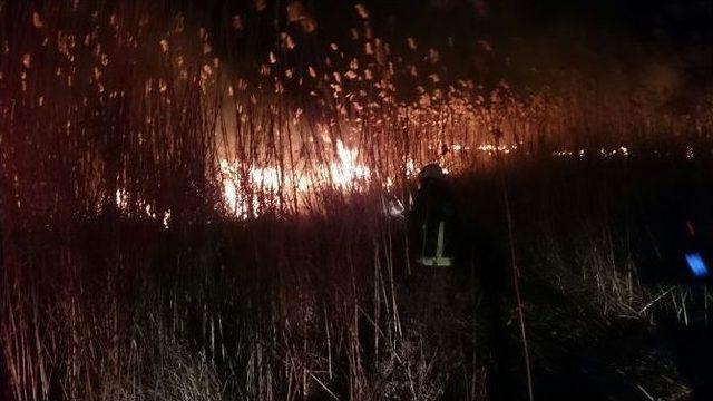 İznik&rsquo;te Sazlık Yangını 2