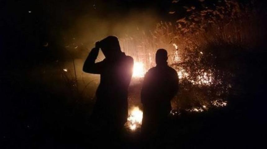 Bursa'da Sazlık Alanda Yangın