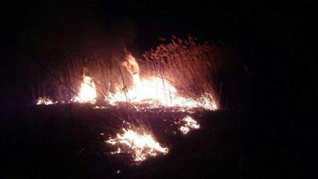 Bursa da Sazlık Alanda Yangın 1