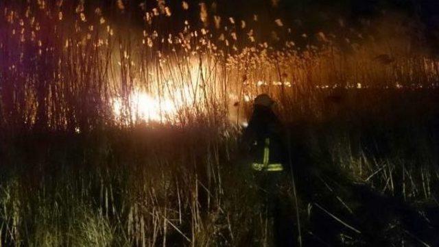 Bursa da Sazlık Alanda Yangın 2