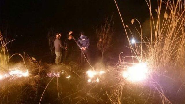 Bursa da Sazlık Alanda Yangın 3