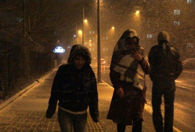 Erzurum&rsquo;a Nisan Karı 2